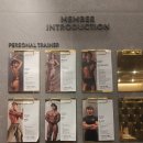 휘트니스엠 선릉점 | 휘트니스엠 선릉점,저 운동 시작했어요~~