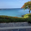 아름다운부페 이미지