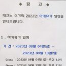 체크숙녀복