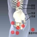 서울라본병원 이미지