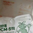 한입에 즐기는 달콤 간식, 얌얌노리 단팥어택 미니호떡