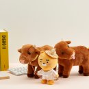 디자인라이언 이미지