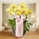 이지플라워 이미지