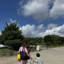 3456 | 영암 물놀이 남향재 한옥 숙소 만세실, 수영장 이용 후기