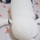 세탁쿠 이미지