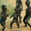 우리집 강아지 이미지