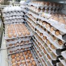 구수리 농장 이미지