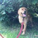 용재농장 이미지