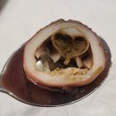 바다회활어