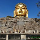 와우정사 이미지