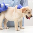 소래동물병원 이미지