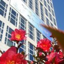 스카이마당 이미지