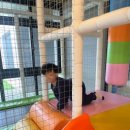 오션 브릿지 키즈 풀빌라 에이스 이미지