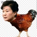 유리방