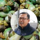 착한 다슬기 이미지