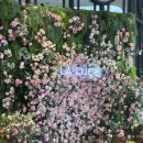 코디성형외과의원 이미지