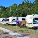 고산무궁화오토캠핑장 이미지