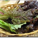 문현동 곱창골목 이미지