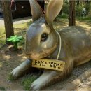 광명도덕산캠핑장 이미지