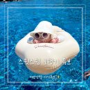 코브 물놀이 필수템! [스윗스윔 보행기 튜브] 내돈내산 대만족 후기(인생샷 보장하는 감성 가득 안전한...