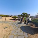 파주 정원 조경 유지관리 잔디 제초제 사용 시기와 방법은!!