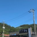 꽃피는진도횟집 | 진도 쏠비치 근처 맛집 꽃피는 진도솥밥 내돈내산 후기(맛평가, 주차꿀팁)