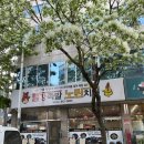 빨강한방왕족발노란치킨 이미지