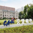 중앙대학교 이미지