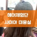 명품헤어샵 이미지