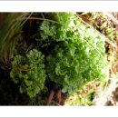 부자농원 이미지