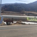 치산미나리 10호점 이미지