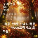 (주)프락시스 | 하루 만에 184% 폭등 — PRAX(프락시스)의 부활!