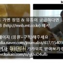 두치 이미지