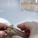 나만의 특별한 어버이날 카드🌸드라이플라워 카네이션 DIY 꽃으로 감사함 표현해요