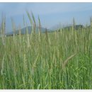 금고2리 이미지