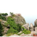 병선농장 이미지