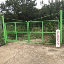 강정동-64 이미지