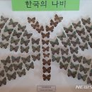 국립백두대간수목원 방문자센터 이미지