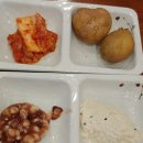 봉포머구리집-속초물회맛집