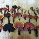 진주무도장 이미지