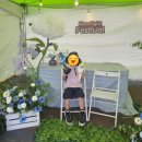 문라이트 | 울산축제 2026 문라이트 페스티벌 후기