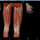 세종마취통증의학과의원 이미지