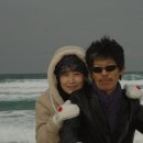 꽃-가족 이미지