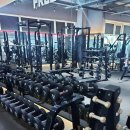 머슬피플 피트니스 이미지