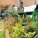 사랑스러운 노인전문요양원 이미지