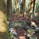 돌담추억 이미지