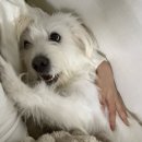 주향공주 | 심심해서