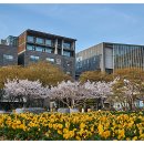 전자컴퓨터세탁 이미지