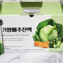 광선농장 이미지