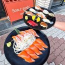 손시스시 이미지